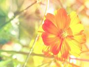 在寮步哪里可以学习家具设计，课时多久，包学会吗