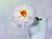 学好室内设计，并不是学个软件就叫室内设计了