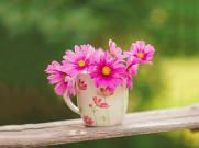 室内设计好不好学，如果只是晚上和周末学要学多久